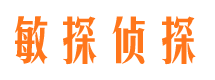 海南区市侦探调查公司